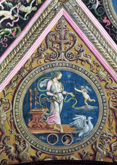 Venus, from the Sala dell